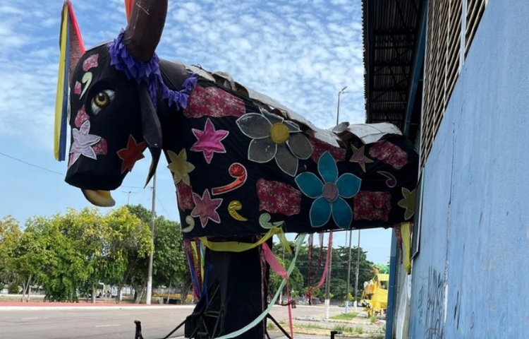 Ligas de samba são processadas por acúmulo de lixo após Carnaval em Manaus