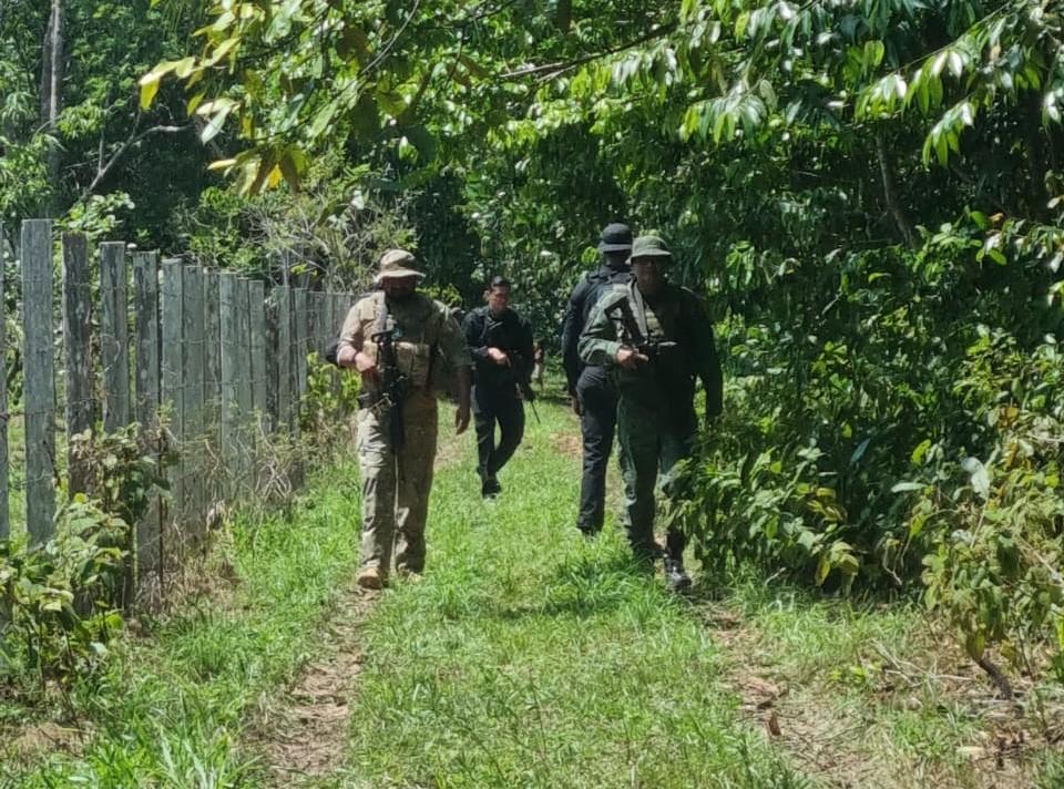 Nove pessoas são indiciadas por crimes ambientais em invasão no bairro Tarumã
