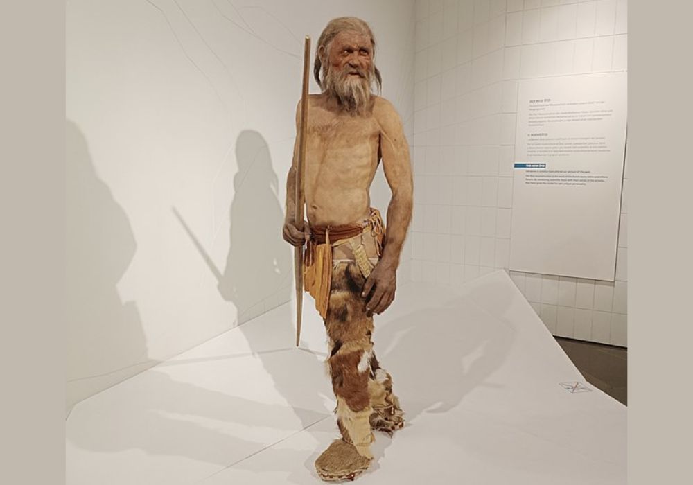 Ötzi, o Homem de Gelo