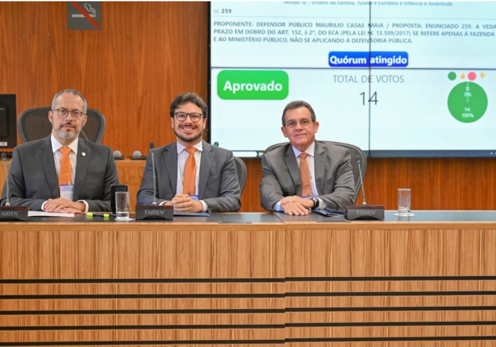 defensoria pública stj enunciados