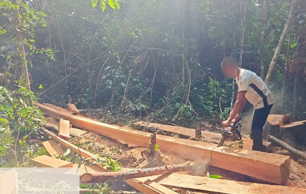 Fiscalização aplica mais de R$ 427 mil em multas por crimes ambientais no Amazonas