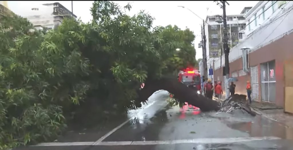 Árvore de grande porte cai sobre carro durante forte chuva em Manaus e bloqueia rua no Centro