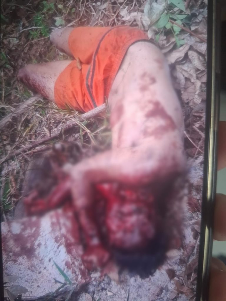 Veja o Filho que matou a própria mãe é encontrado morto com rosto desfigurado em Manaus; veja