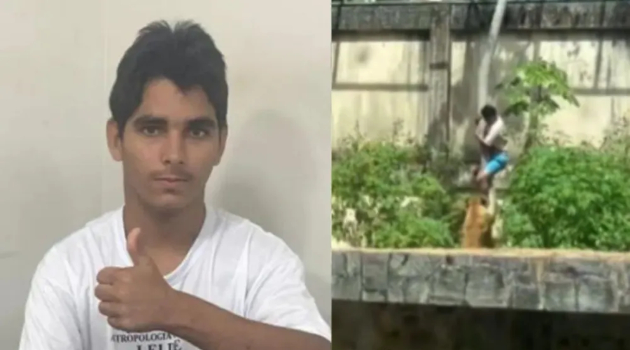 Vídeo mostra como ficou o corpo de jovem atacado por leoa na Paraíba ...