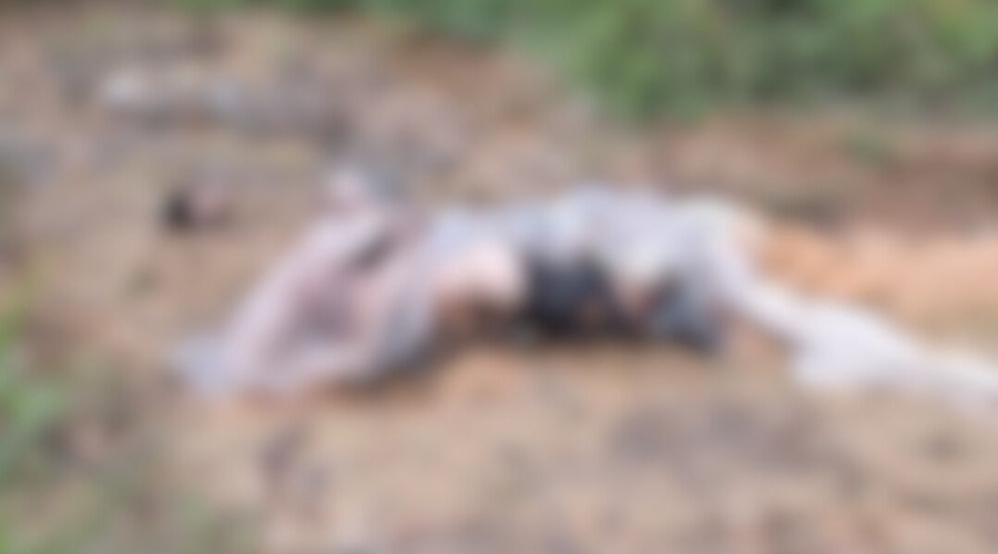 Corpo de homem decapitado é encontrado no bairro Tarumã em Manaus
