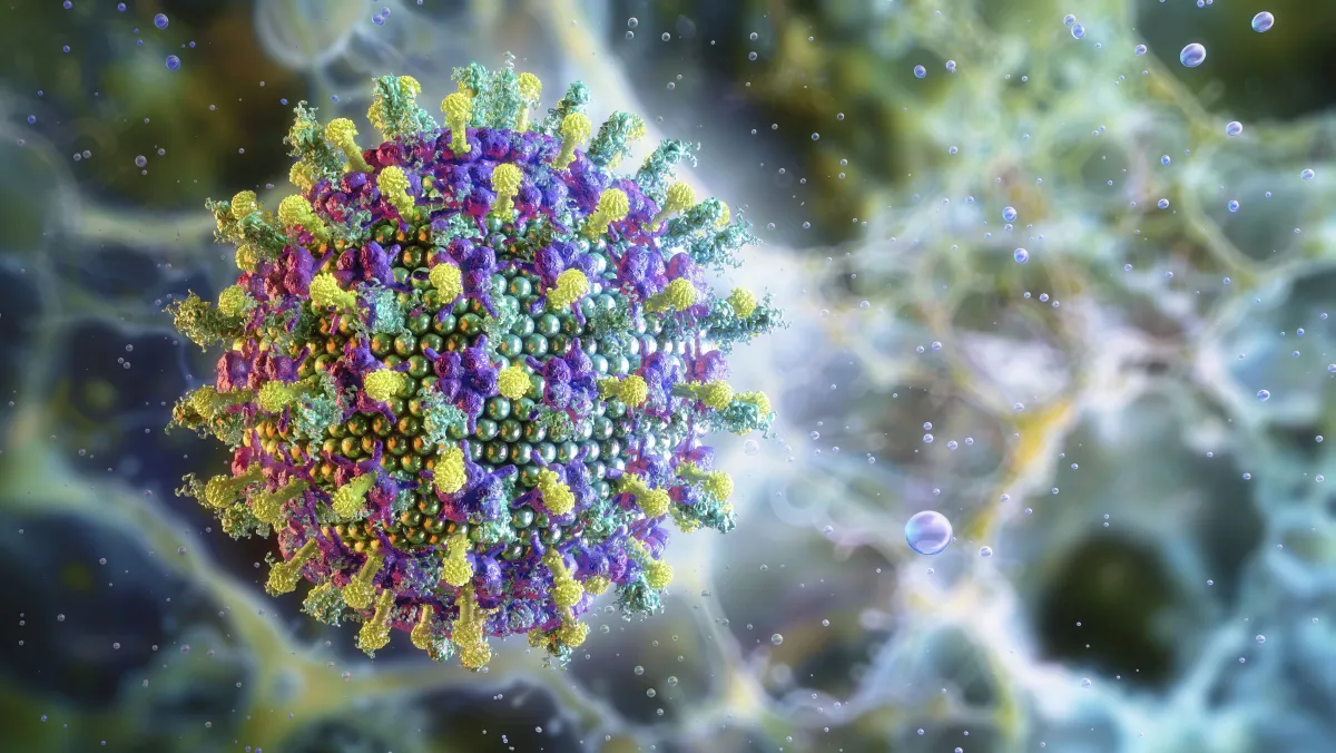 imagem do vírus nipah e medidas de vigilância sanitária