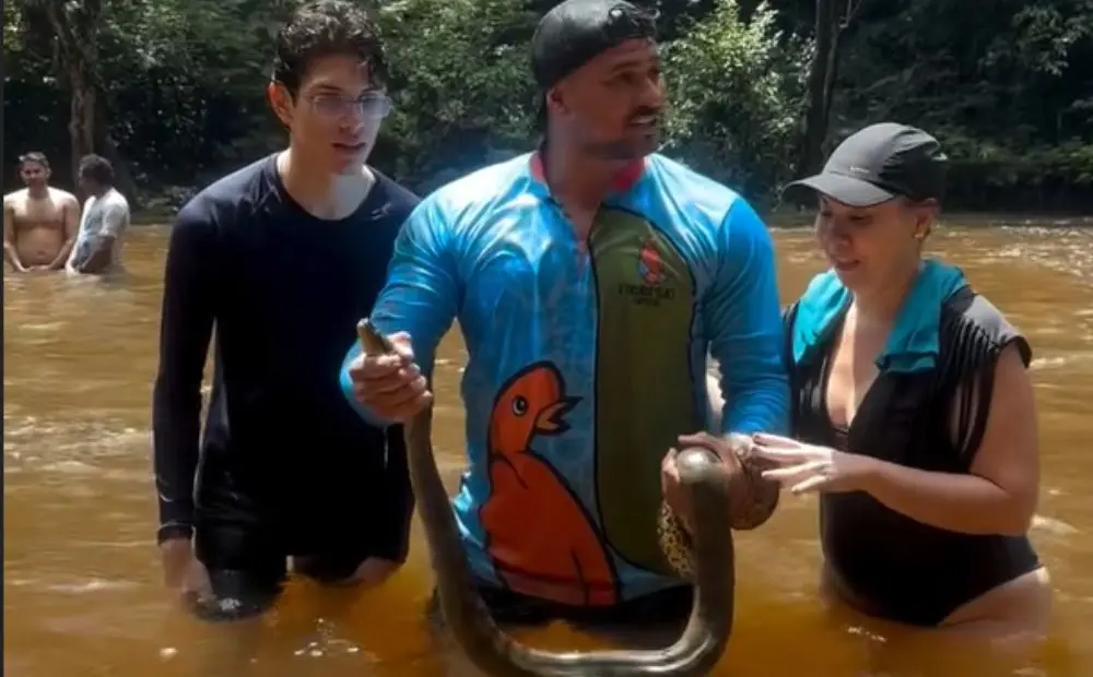 sucuri-verde na cachoeira da neblina