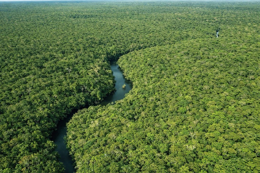 gráficos sobre redução de desmatamento no amazonas