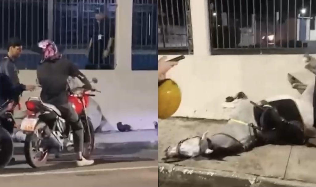 Cavalo tupã da PMAM após acidente em Manaus