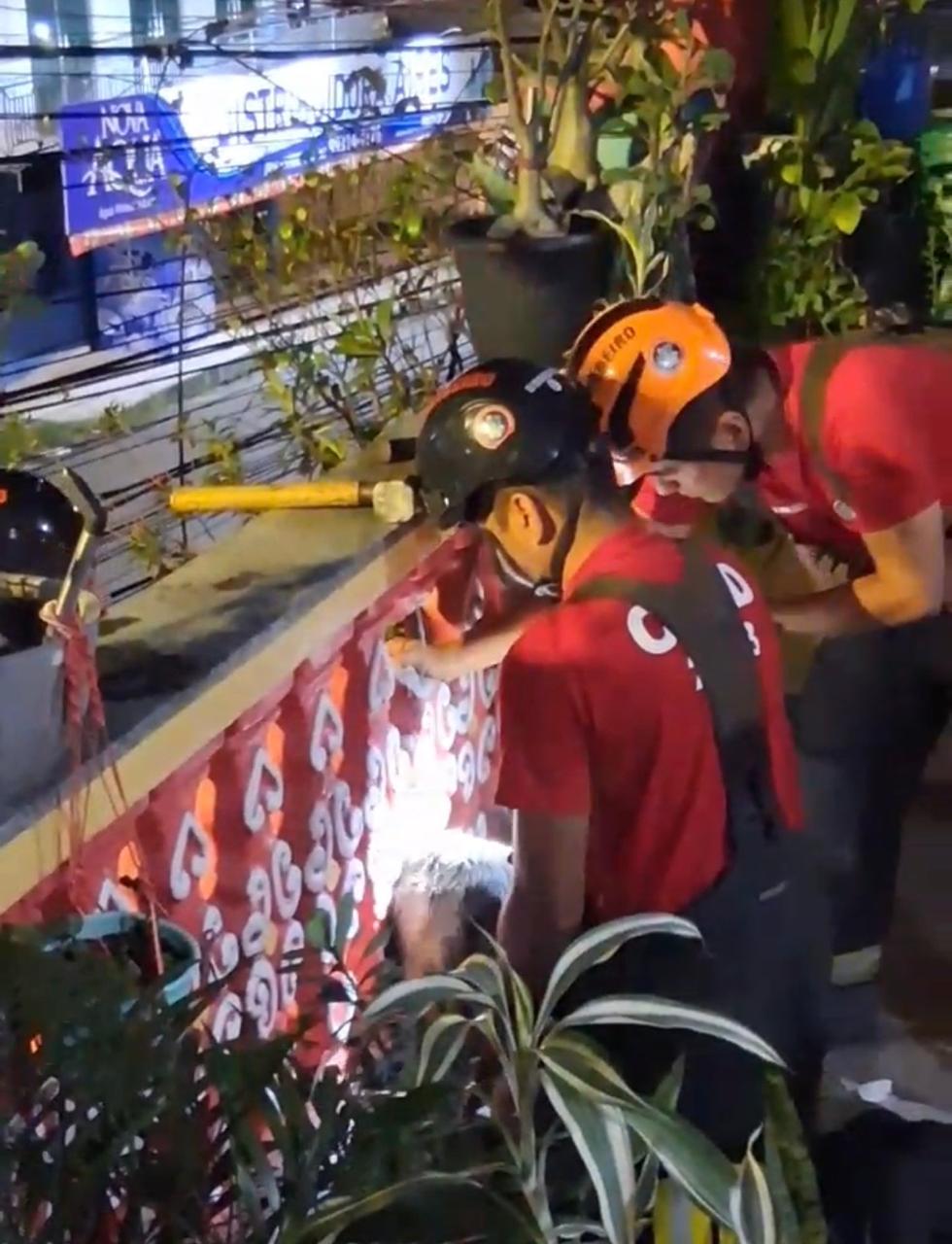 cadela sendo resgatada pelos bombeiros