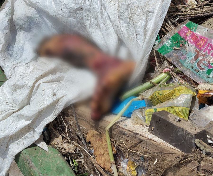 Pernas de homem esquartejado são encontradas em áreas diferentes de Manaus