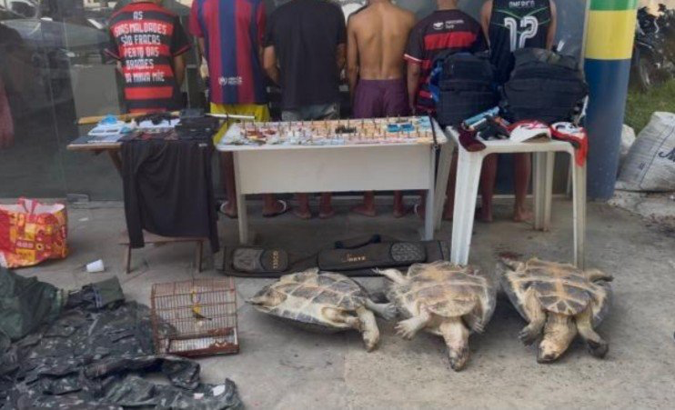 Apreensão de munições, drogas e animais silvestres durante operação policial em Carauari no Amazonas.