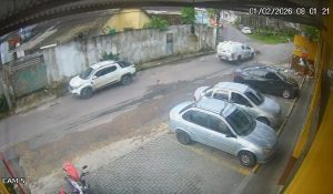 cachorras atropeladas por viatura da polícia em manaus