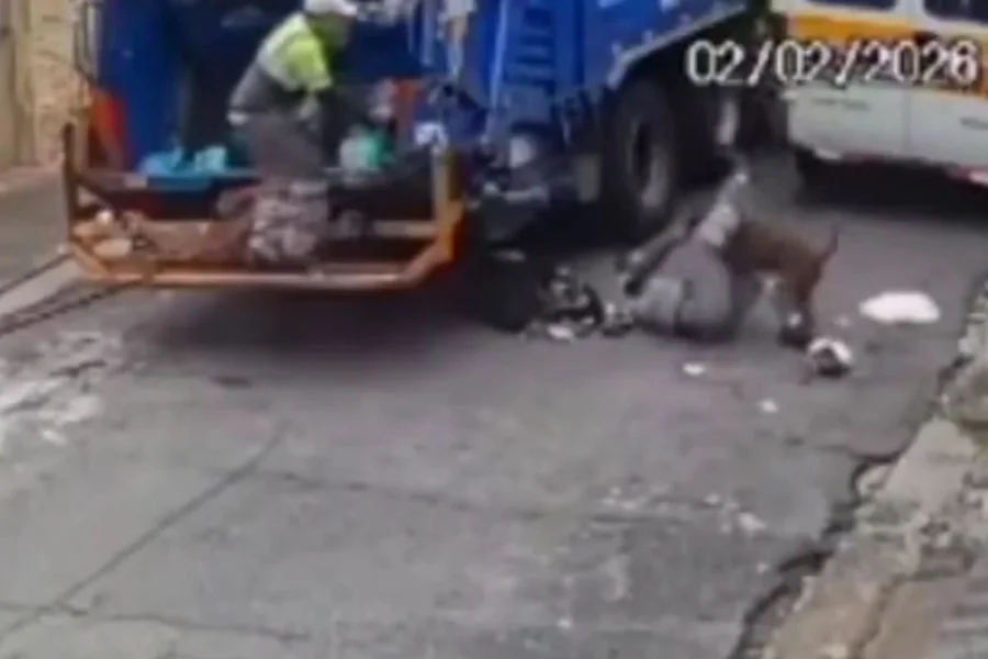 coletor de lixo sendo atacado por pit bull em são paulo