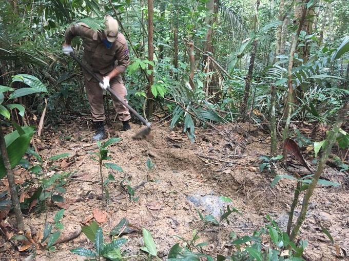 policia realiza buscas em area de mata na zona leste de manaus