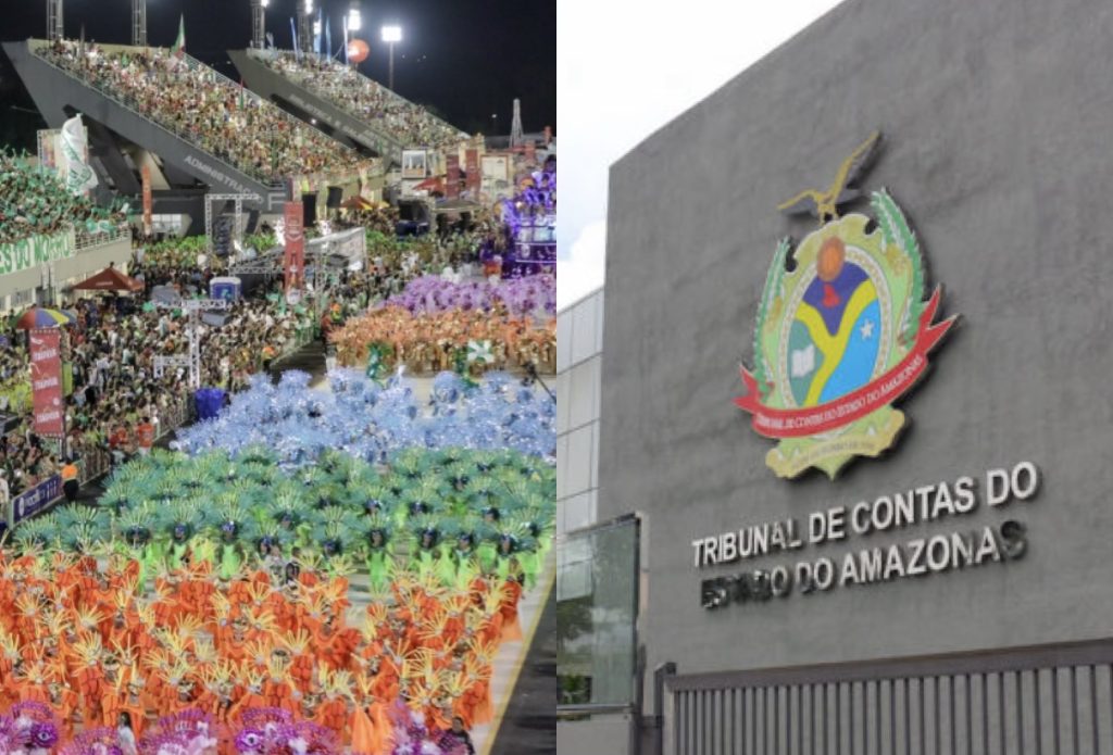 imagem do carnaval de manaus com escolas de samba
