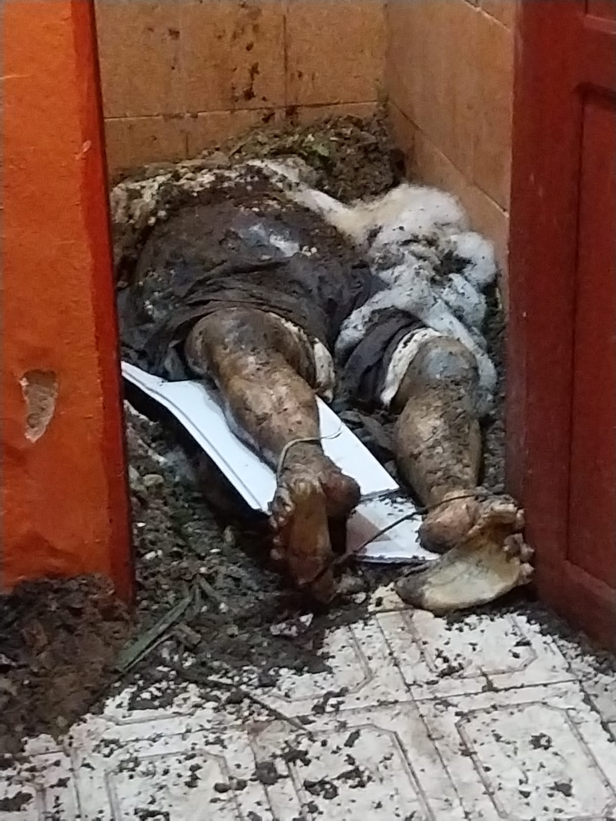 Policiais militares e viaturas em frente a kitnet no bairro Zumbi onde corpo de idoso foi encontrado enterrado no banheiro