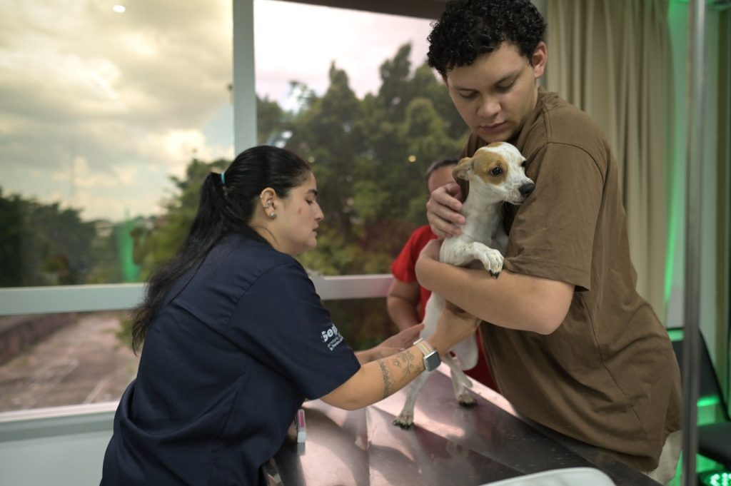 Equipe veterinária e unidade móvel do castramóvel estacionada para atendimento gratuito no bairro santo antônio em manaus