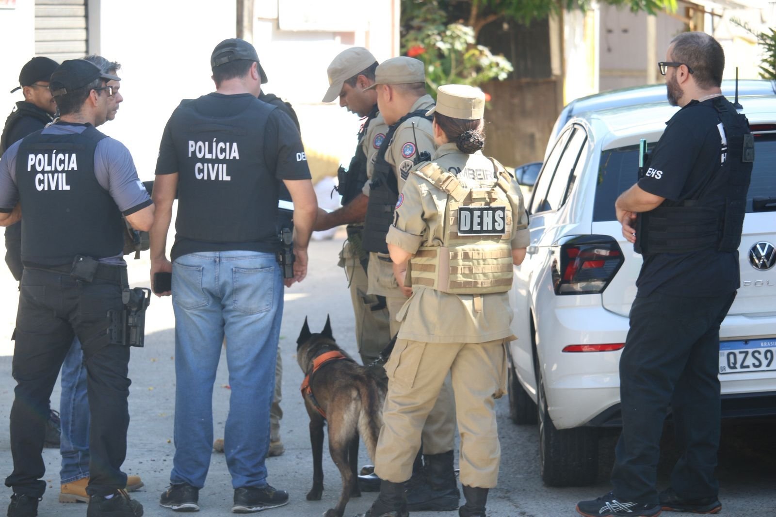 Policiais civis e bombeiros realizam buscas com cadela farejadora em área de mata fechada no bairro União em Manaus.