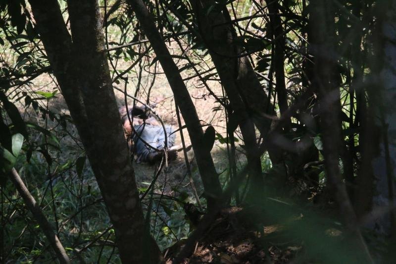 Área de mata no bairro Distrito Industrial onde corpo foi localizado com pés amarrados em estado de decomposição.