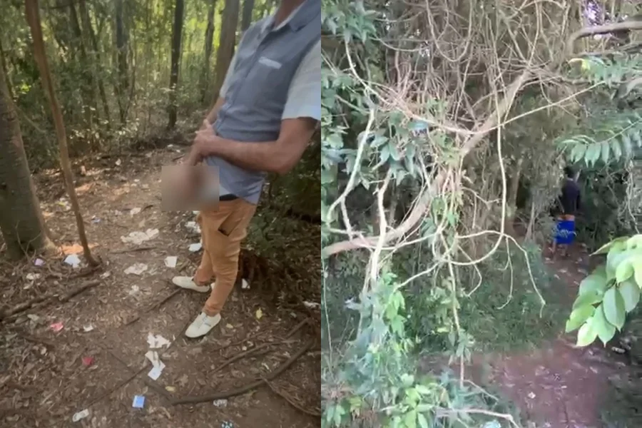 Bosque do Trabalhador em Curitiba alvo de denúncias por práticas de atos obscenos em área pública