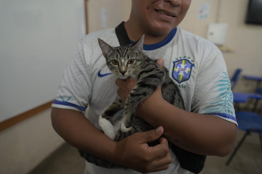 Equipe veterinária realizando mutirão de castração gratuita de cães e gatos no largo de são sebastião em manaus