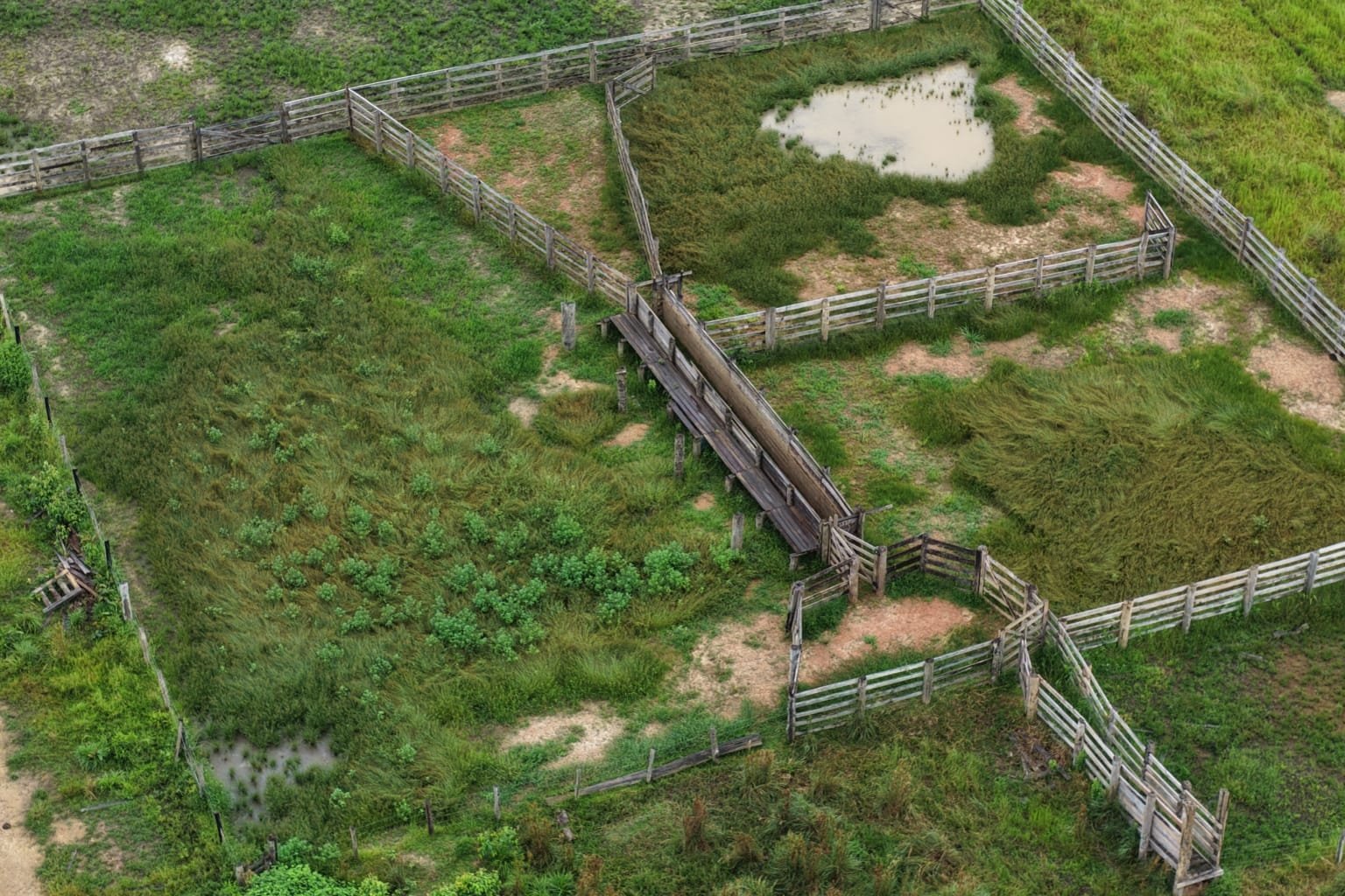 Agentes ambientais realizam fiscalização contra desmatamento ilegal na rodovia BR 230 em Humaitá Amazonas