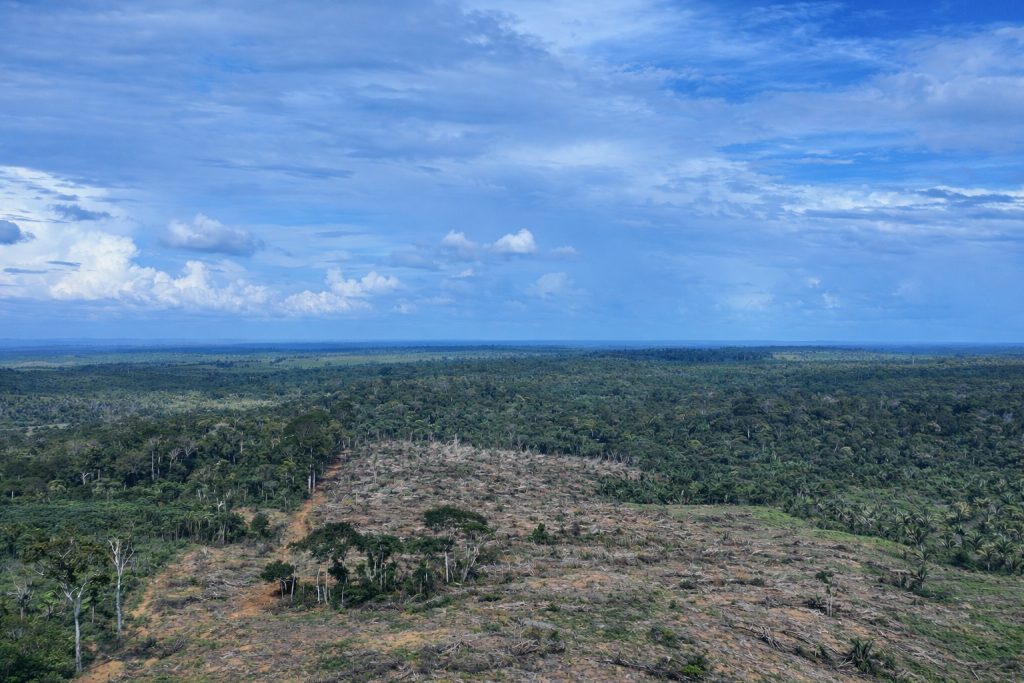 Equipes de fiscalização ambiental do Ipaam atuando no combate ao desmatamento ilegal no município de Apuí
