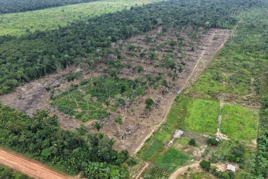 Equipes de fiscalização ambiental atuando no combate ao desmatamento na floresta amazonense durante a Operação Tamoiotatá 6.