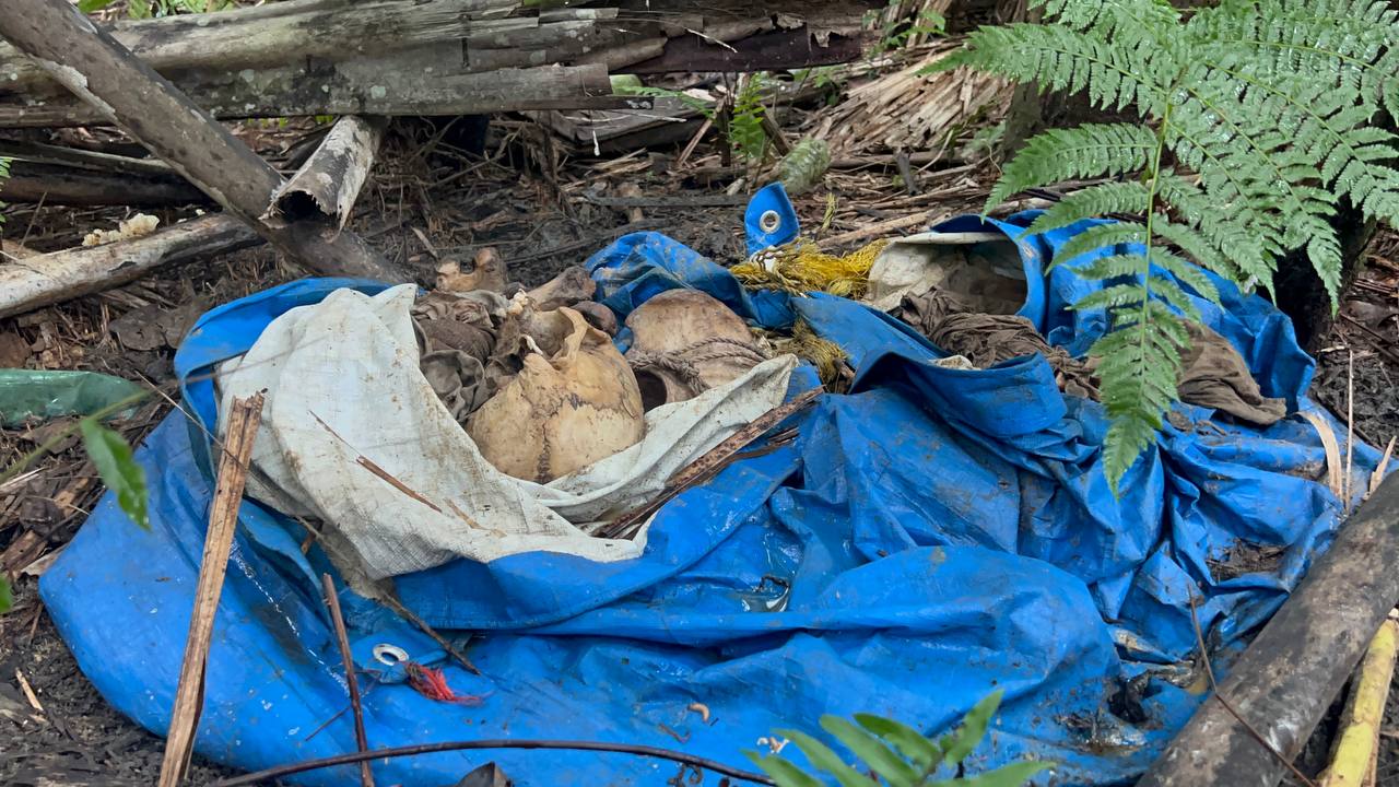 Vista de área de mata na rodovia AM-010 em Manaus onde ossada humana foi localizada por moradores locais