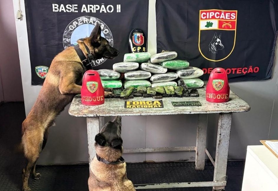 Policiais militares exibem tabletes de drogas apreendidos durante operação no interior do Amazonas.