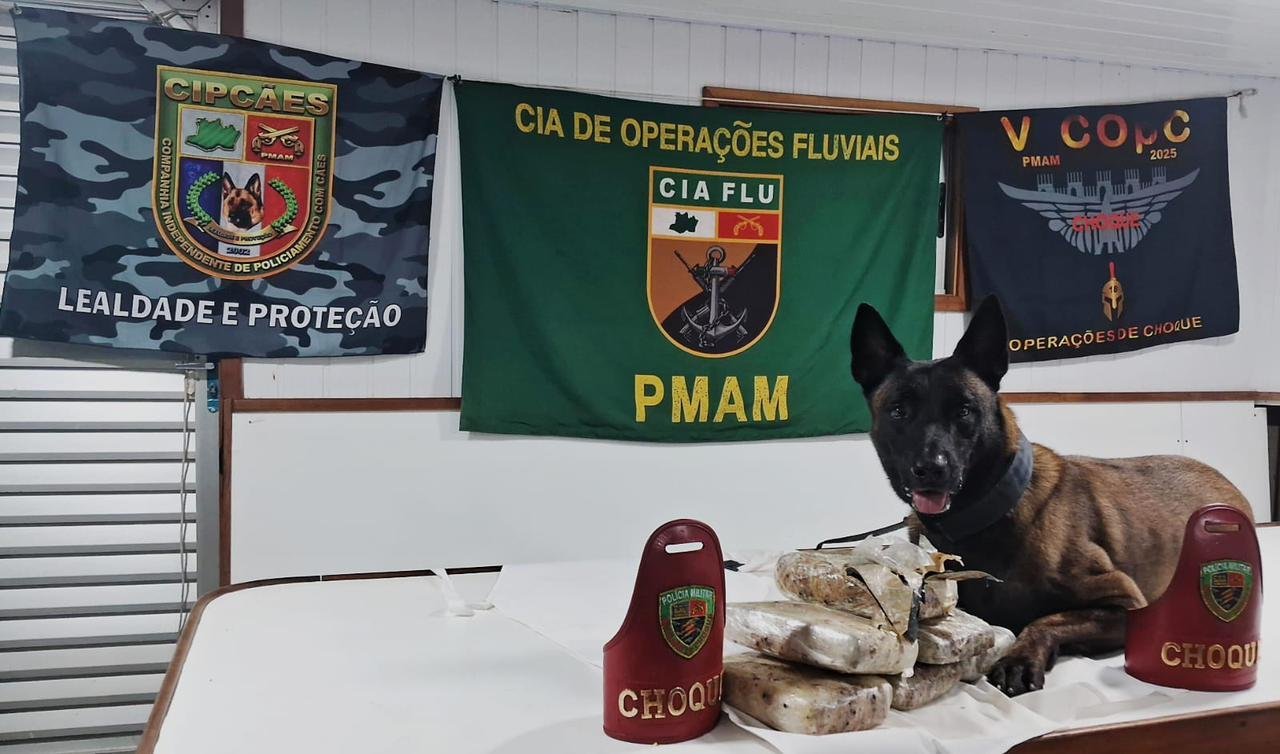 Policiais militares realizam apreensão de seis tabletes de skunk em bagagem abandonada no porto de Coari no Amazonas