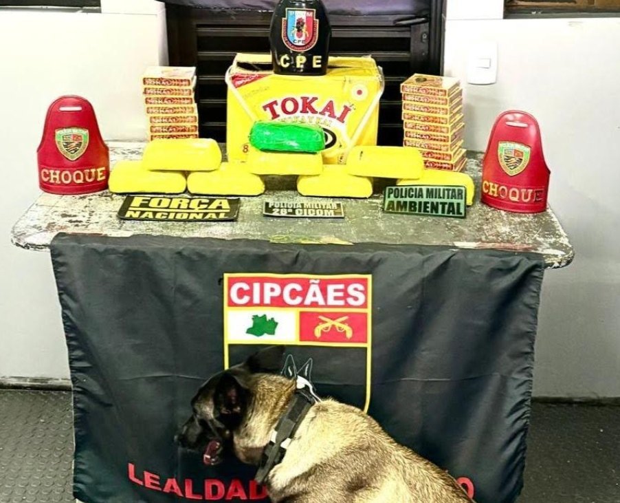 policiais militares e cães farejadores realizando fiscalização de drogas em embarcação no rio amazonas