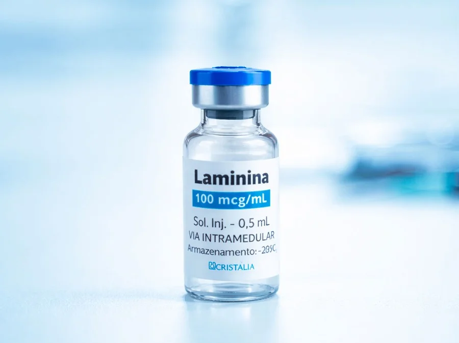 Pesquisas científicas sobre polilaminina e regeneração de nervos na medula espinhal humana.