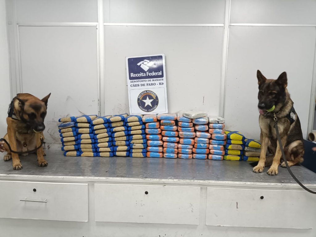 Agentes da Receita Federal inspecionam carga de polpa de açaí contendo tabletes de skunk no Aeroporto Internacional de Manaus.