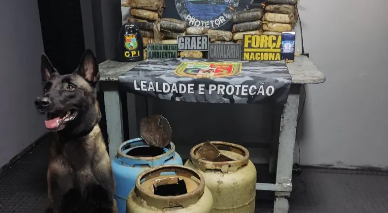 Cão farejador da polícia militar ao lado de botijões de gás contendo tabletes de drogas apreendidos no Amazonas