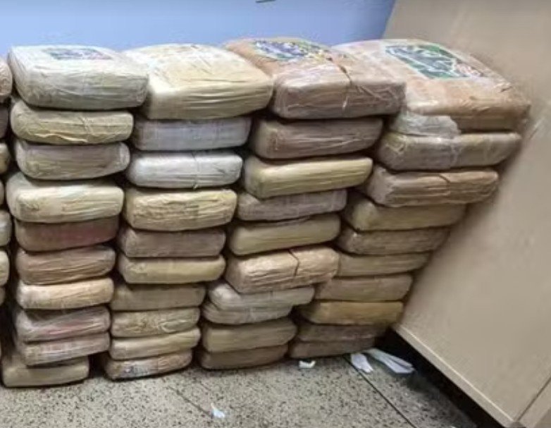 Drogas apreendidas pela policia civil dentro de caixas de papelao no bairro flores em manaus