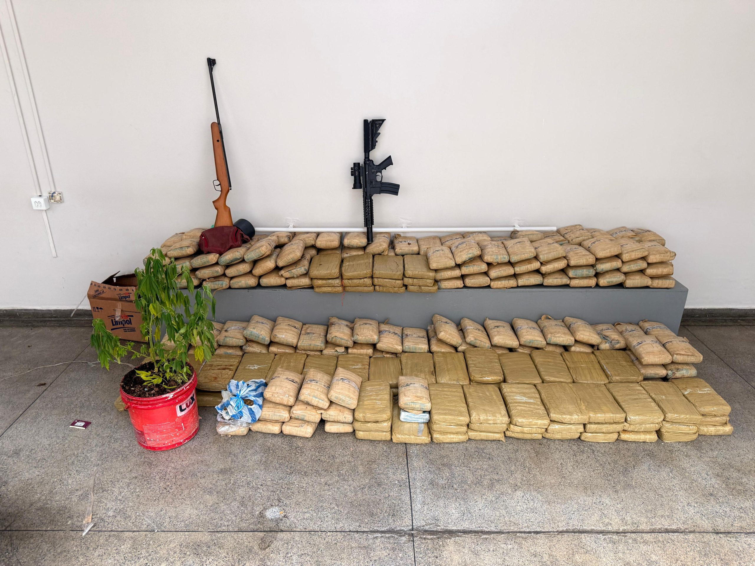 Pacotes de maconha do tipo skunk apreendidos pela Polícia Civil dentro de uma residência em Manaus.