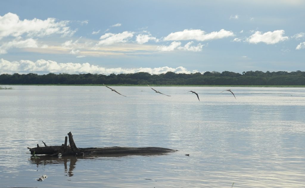 Vista aérea da cidade de Anamã durante o período de cheia dos rios no Amazonas