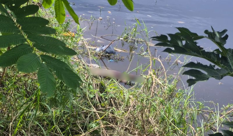 Corpo encontrado em igarapé no bairro da Glória, Manaus
