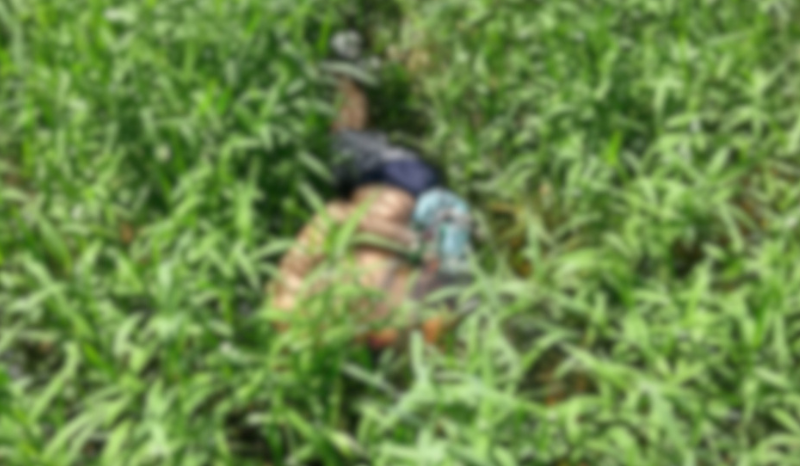 Vista de area de mata onde corpo com sinais de violencia foi localizado em Manacapuru
