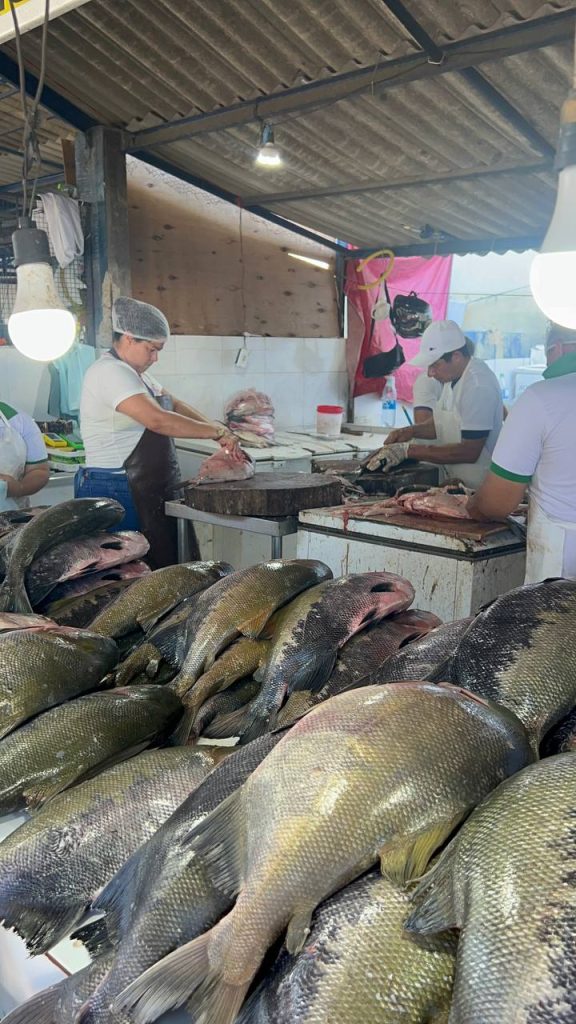 Movimentação de consumidores na Feira do Produtor em Manaus buscando peixes para a Sexta-feira Santa.