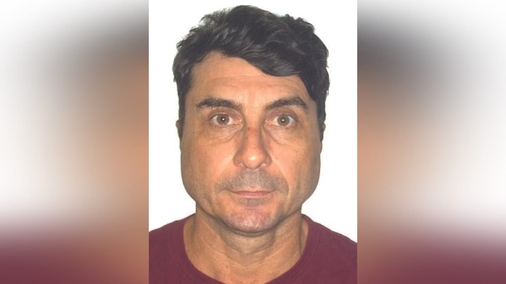 Carros recuperados pela Polícia Civil do Amazonas em operação contra fraude e venda ilegal de veículos alugados