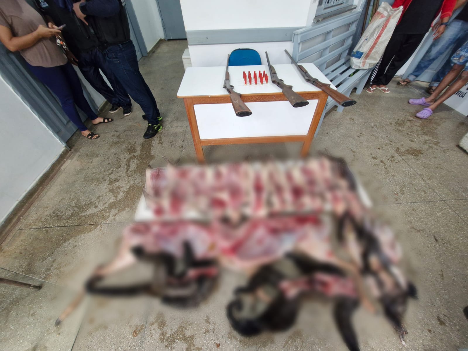 policiais apreendem animais silvestres e armas durante operacao contra caca ilegal em jurua amazonas