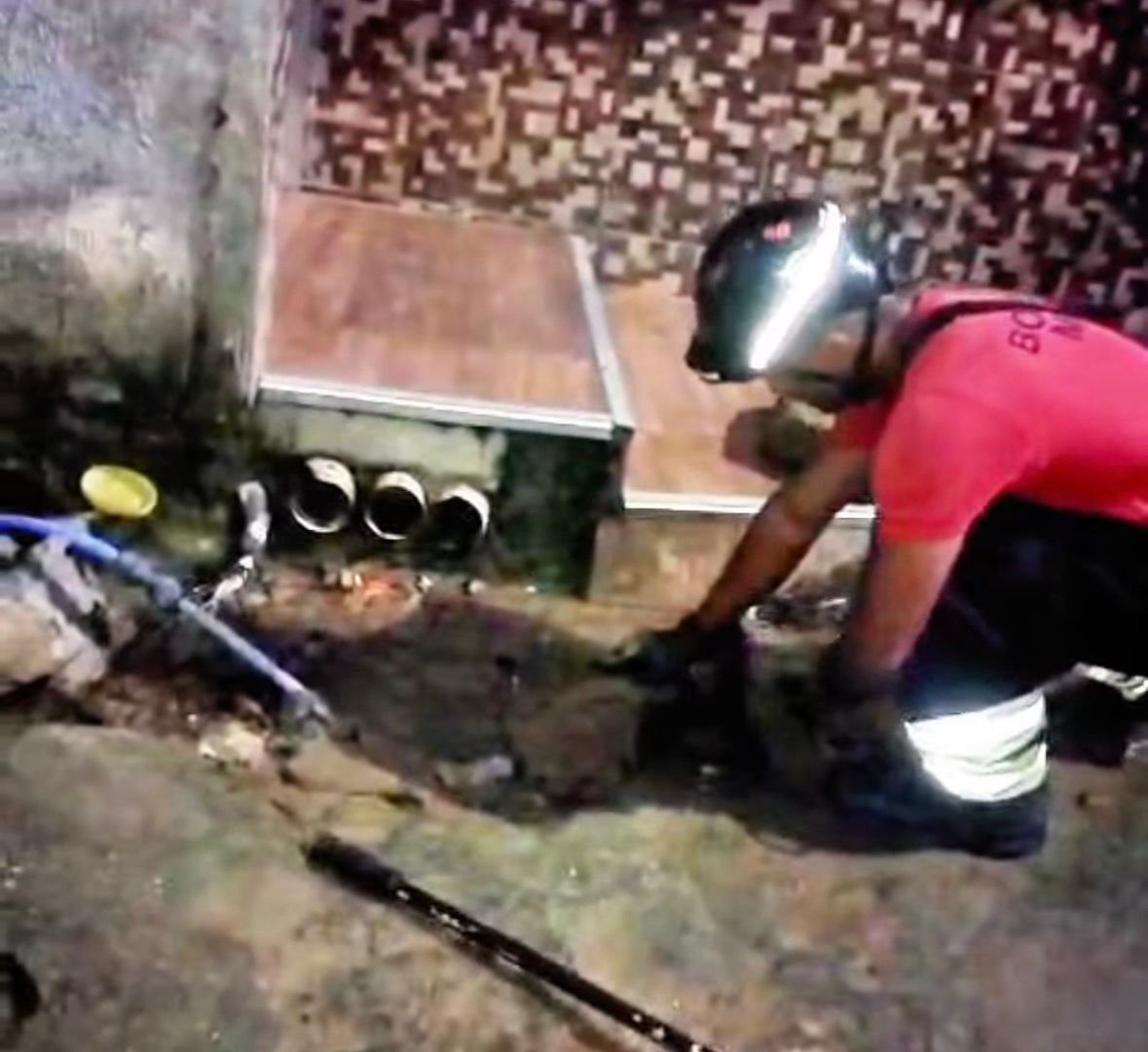 Bombeiros realizam o resgate de uma sucuri de dois metros em frente a uma residência no bairro Planalto em Manaus