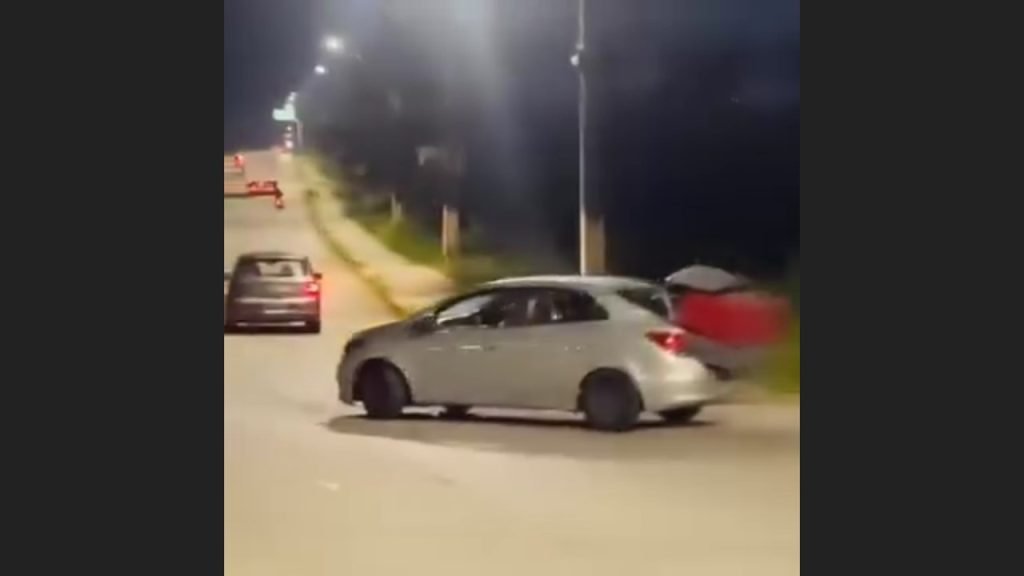 Vídeo mostra motorista furtando casinha de cães na Avenida das Torres em Manaus