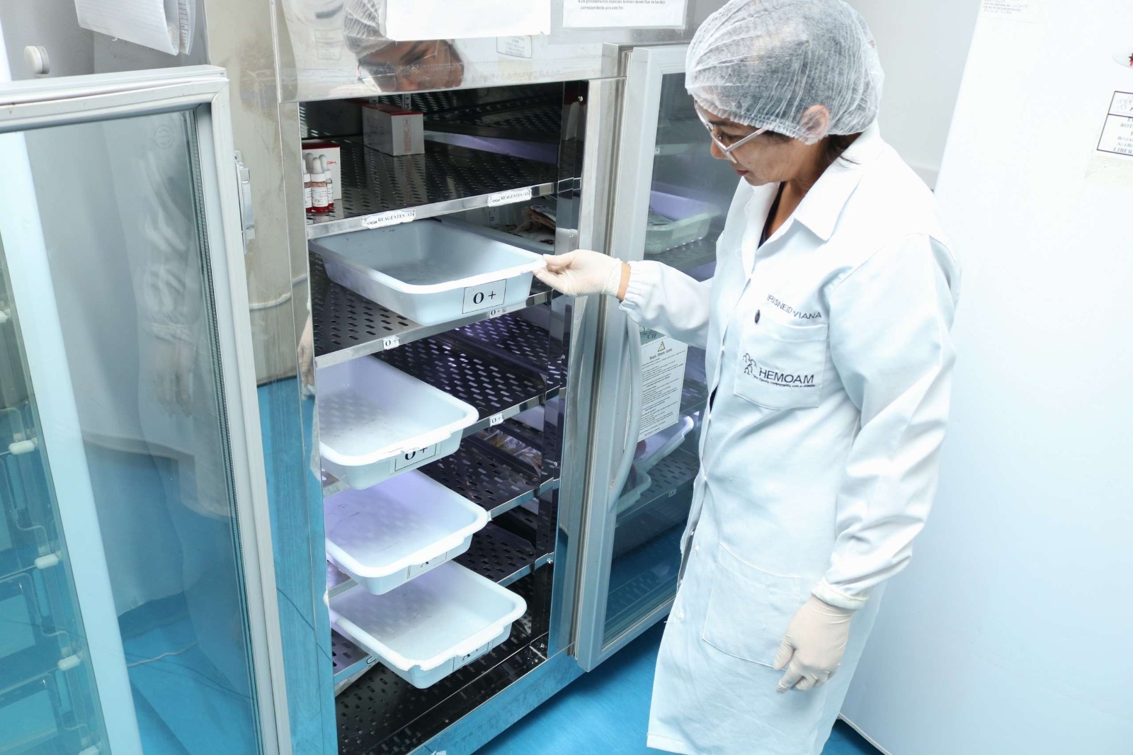 coleta de amostras biológicas no projeto genoma sus em manaos