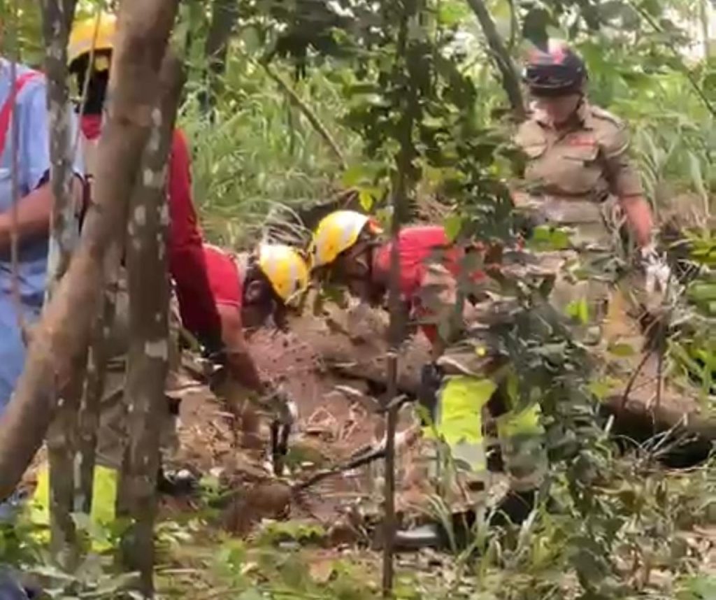 Area de mata no bairro da Uniao em Manaus onde o corpo de Valdelim Pereira Branco foi localizado por familiares em uma cova rasa