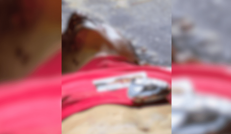 homem encontrado morto no bairro monte das oliveiras em manaus