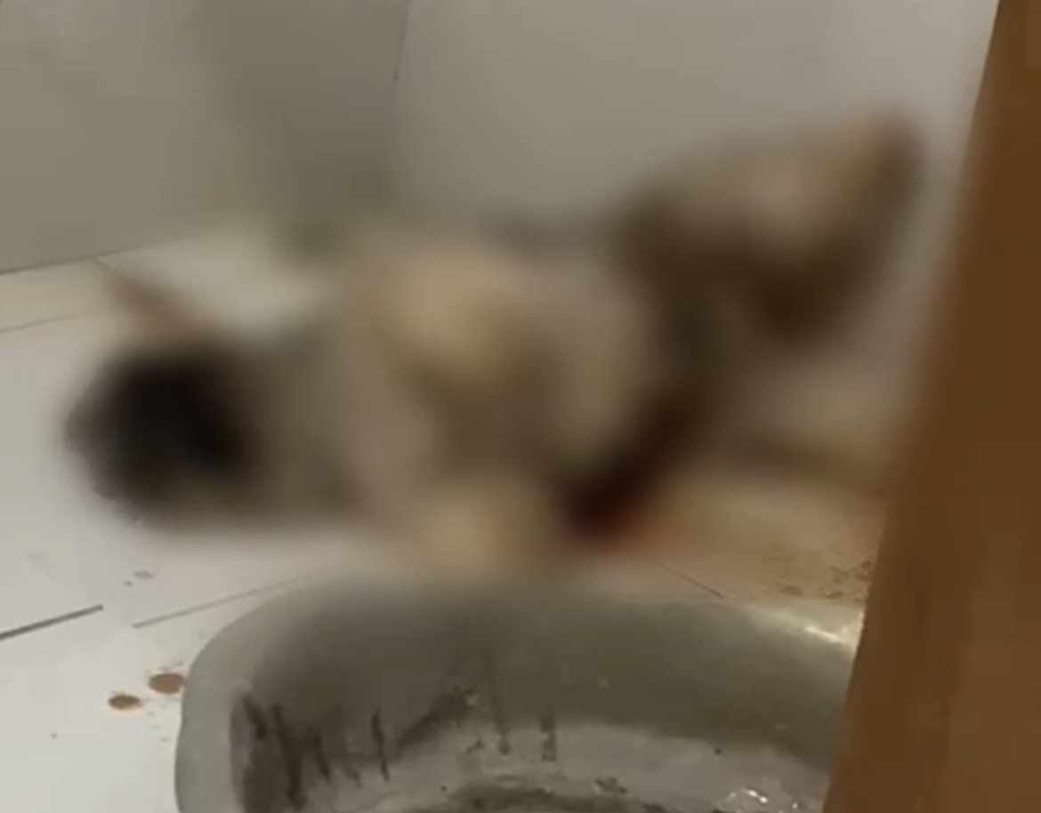 foto de divulgação sobre a prisão de homem suspeito de invasão
